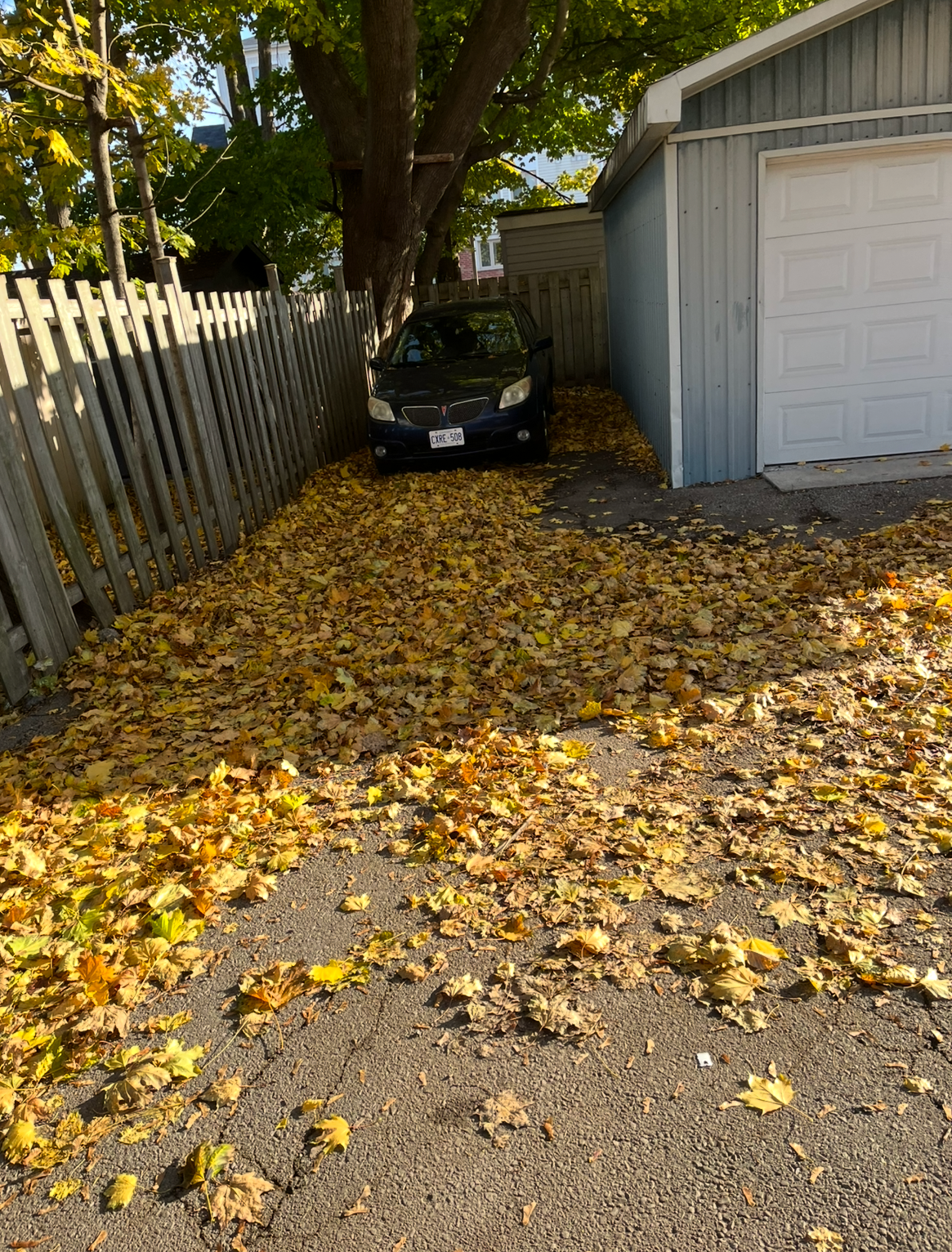 Spring cleanup before — yard covered in debris
