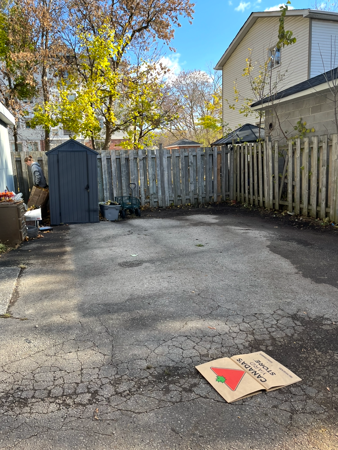 Fall cleanup after — pristine lawn