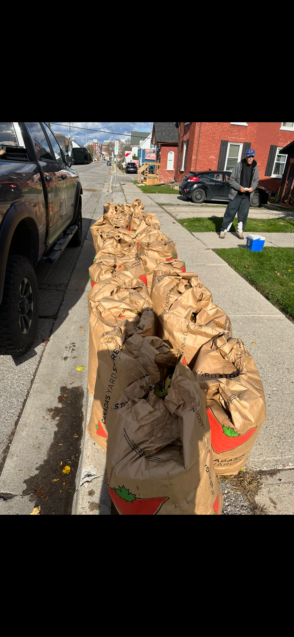 After — all leaves bagged curbside