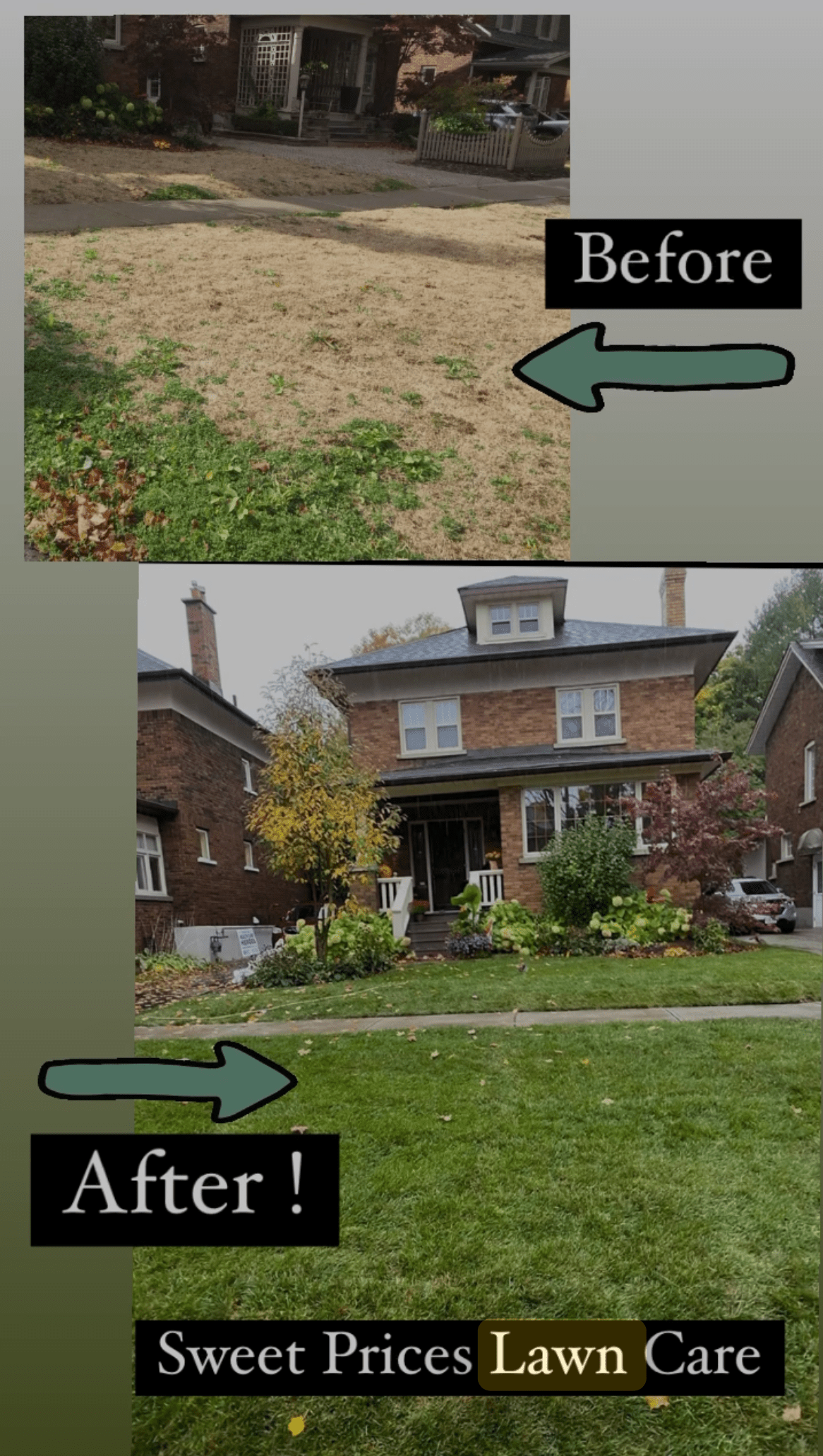 Lawn care team working in a backyard