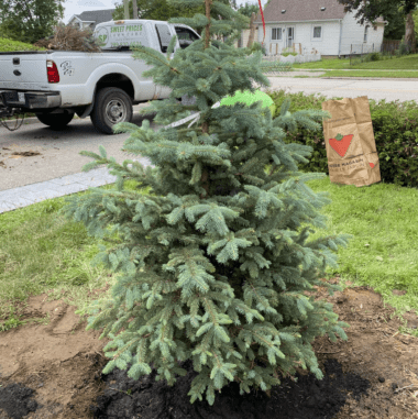 Beautifully striped mowed lawn by Sweet Price Lawn Care